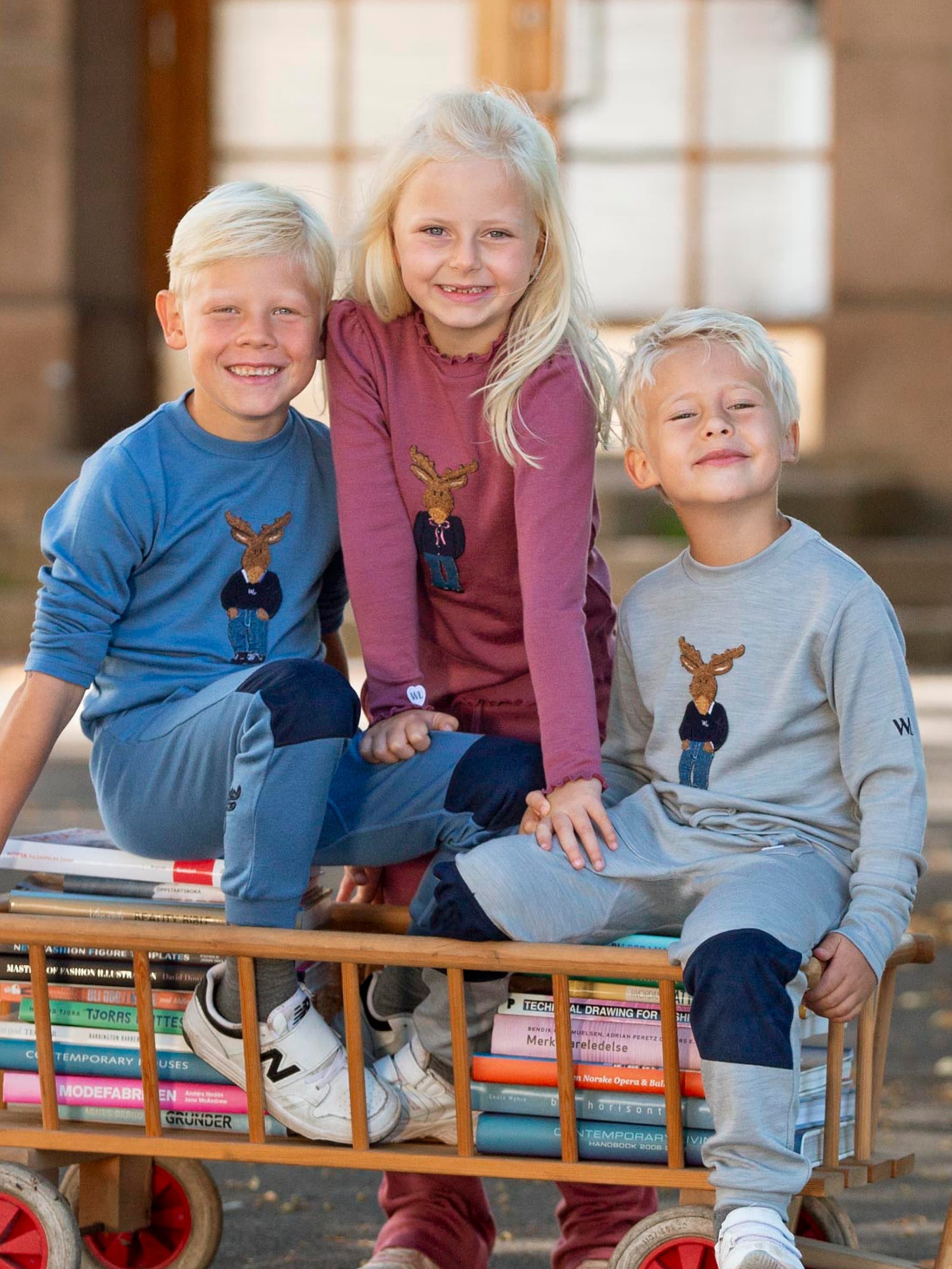 Harpefossen Ullgenser 3-10 år Grey Melange