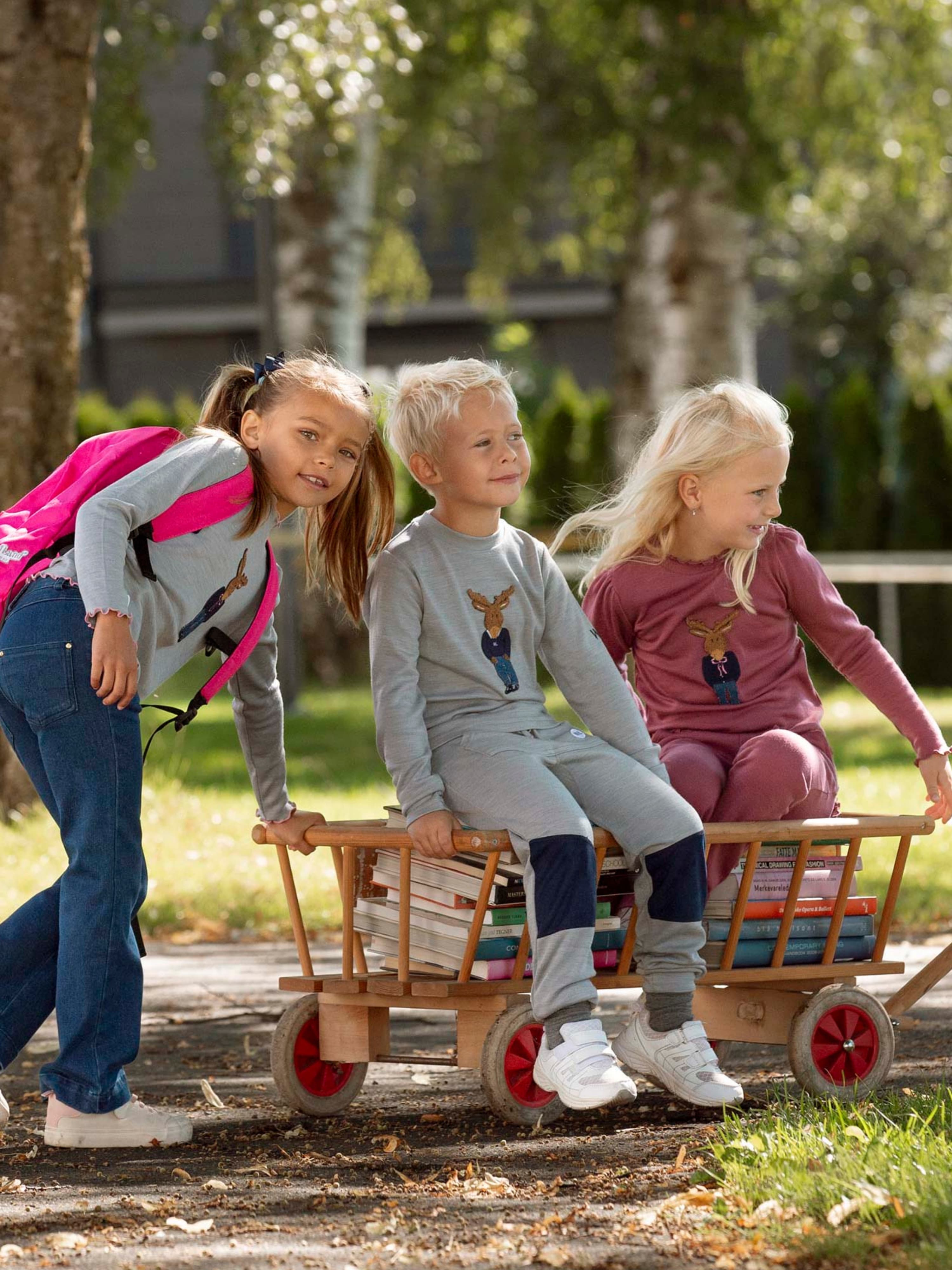 Harpefossen Ullgenser 3-10 år Grey Melange